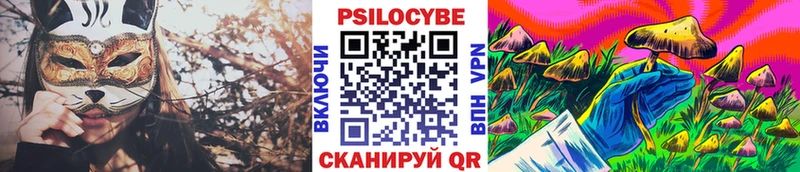 магазин  наркотиков  Велиж  Галлюциногенные грибы Psilocybe 